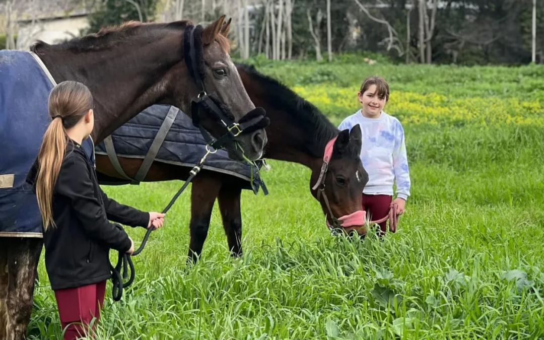 Scopri I Corsi Di Equitazione a Palermo Per Ragazzi Tra Natura e Crescita Personale