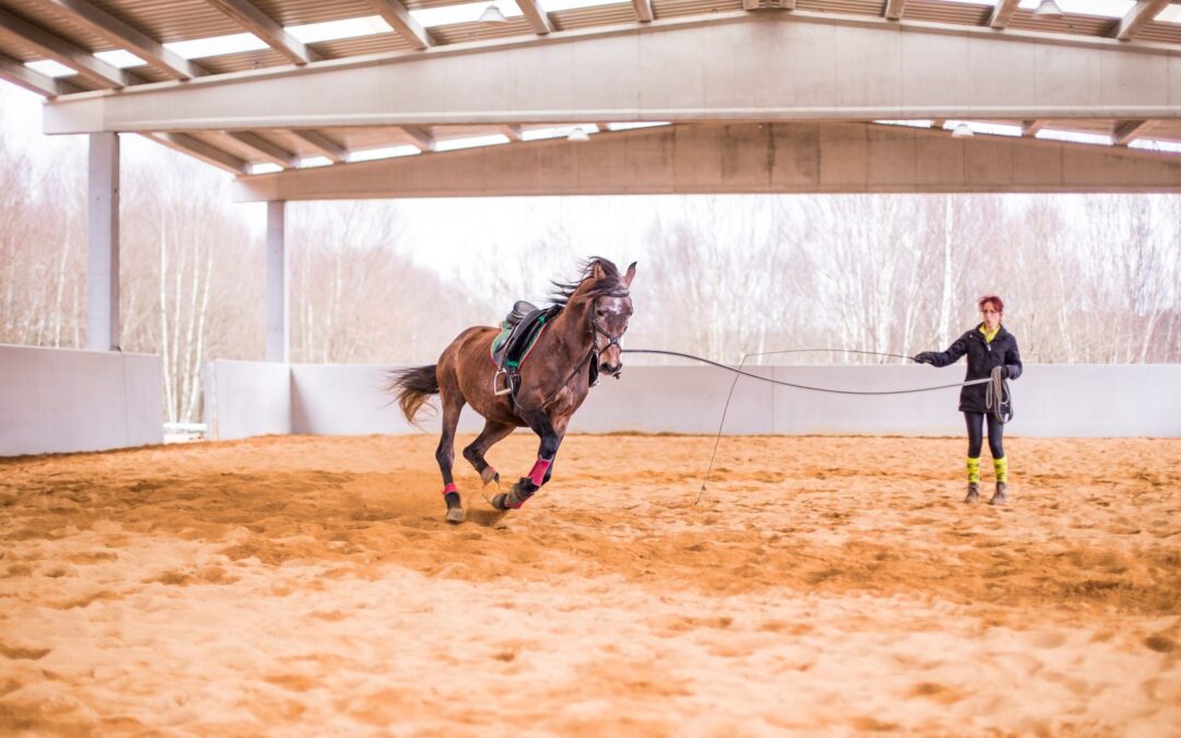 La Mente Segreta Del Cavallo, Scopri I Segreti Dell’Etologia Per Una Relazione Perfetta