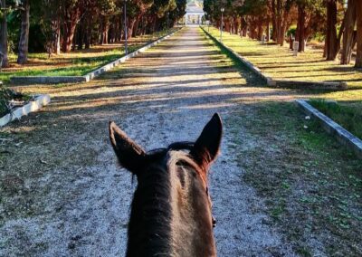foto dei viali di villa Castelnuovo