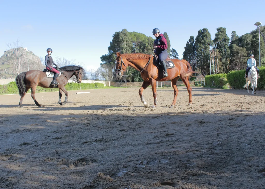 lezione di equitazione