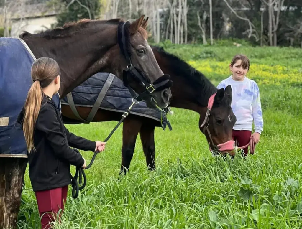 cavalli al pascolo nei giardini del CIS
