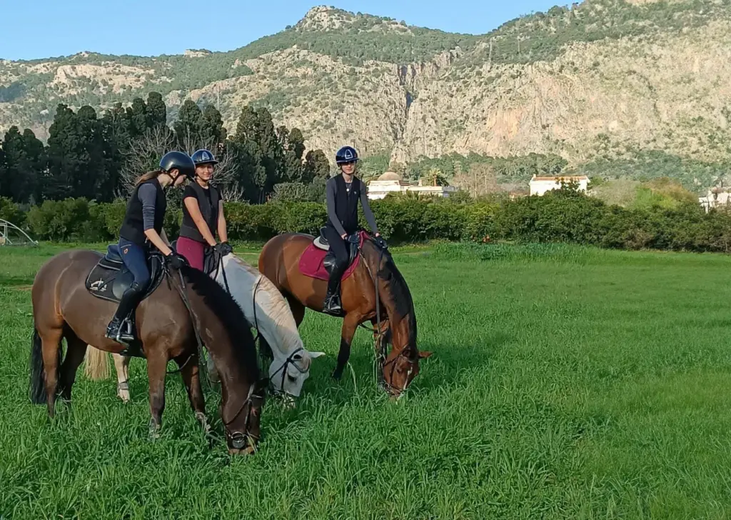 Cavalieri a cavallo nel verde del C.I.S., con montagne sullo sfondo.