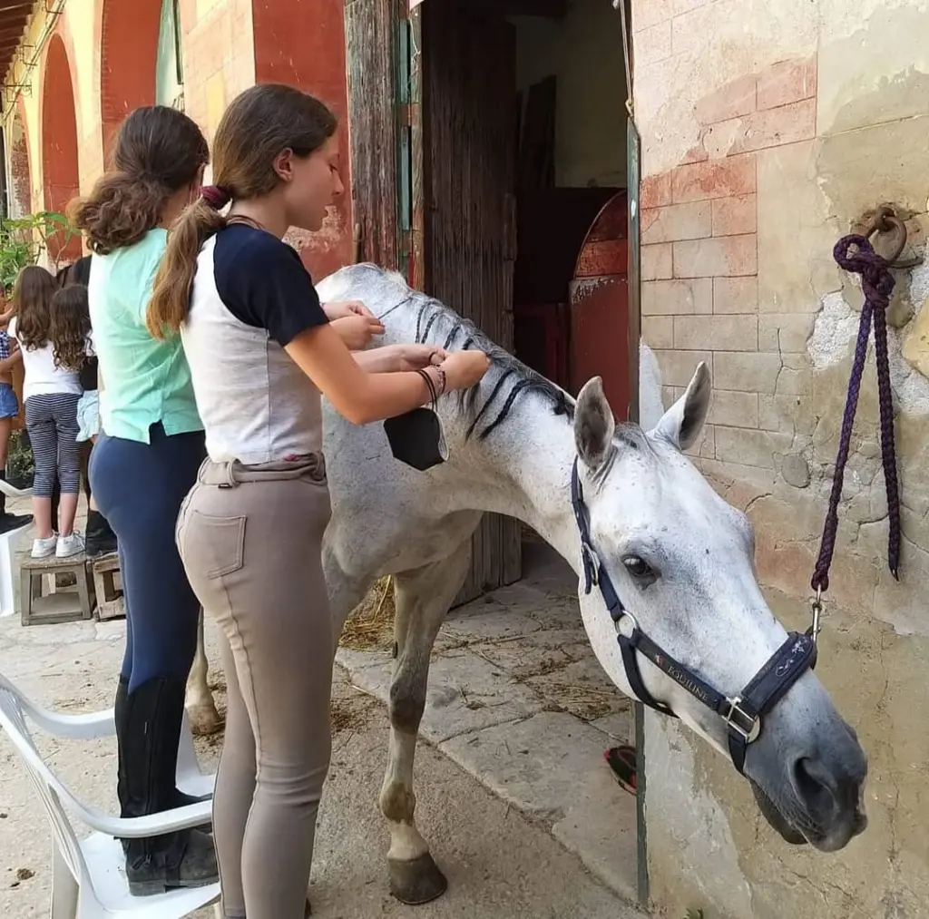 Bambine che intrecciano la criniera di un cavallo al C.I.S.