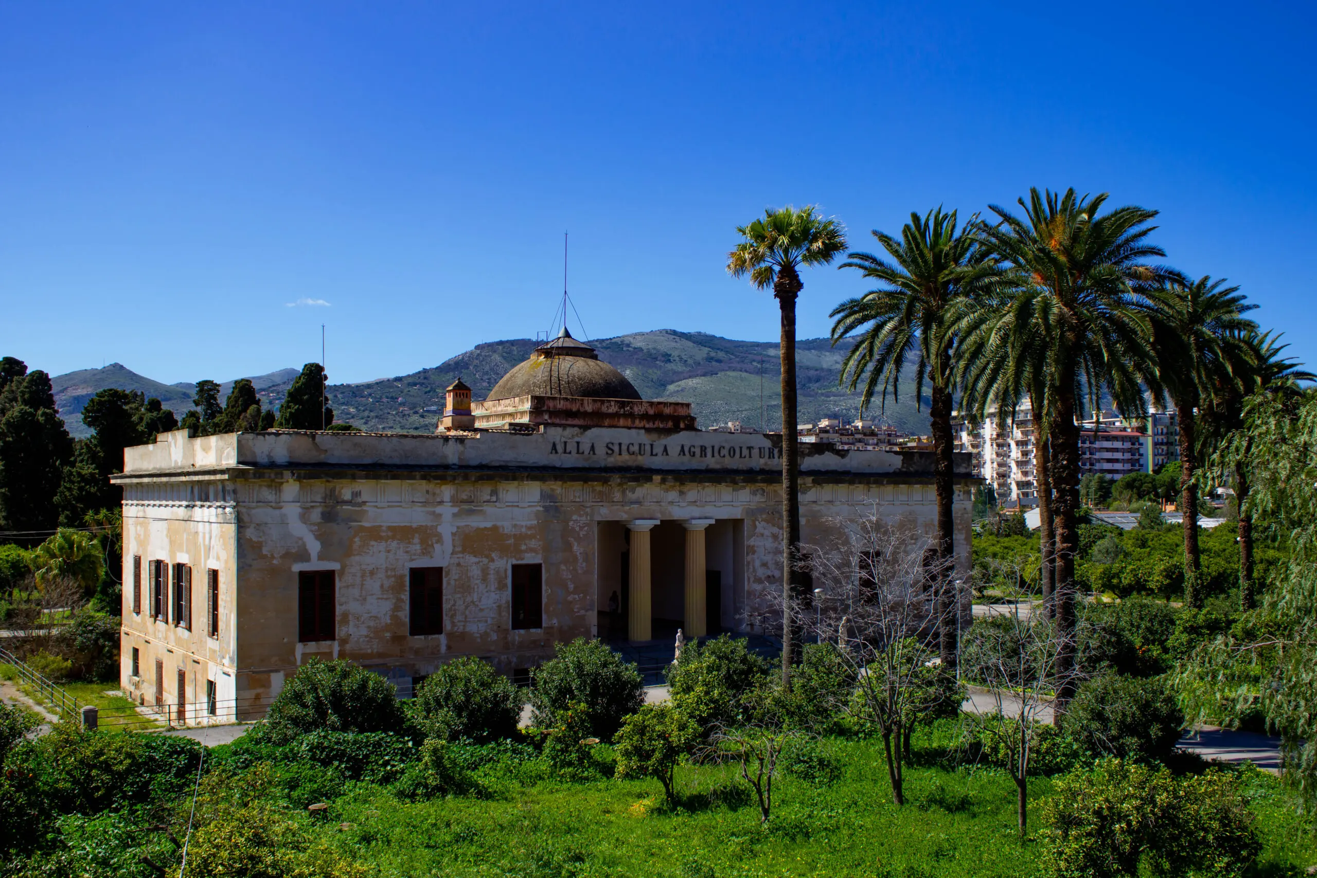 Villa Castelnuovo vista esterna tra palme e verde, nel cuore di Palermo.
