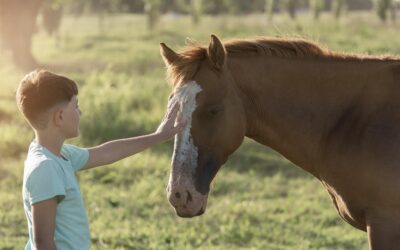 Cavalli e Bambini, Tutto Quello che i Genitori Devono Sapere