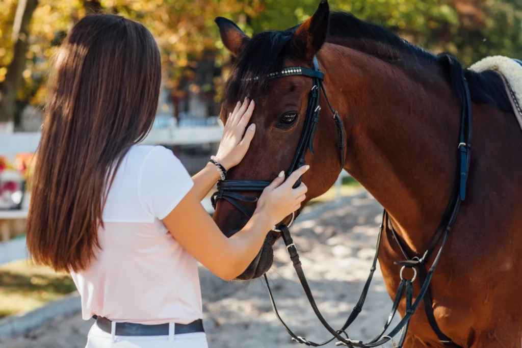 Cavallo della scuola accarezzato da una ragazza durante una lezione di equitazione, relazione educativa senza necessità di possesso