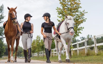 Lezioni di equitazione di gruppo a Palermo. Come funziona e cosa serve per iniziare