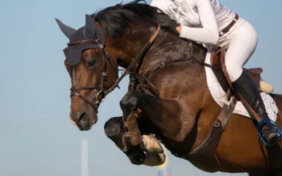 Sport a cavallo, perché è molto più di una disciplina sportiva