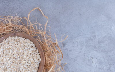 Avena per cavalli quando usarla e come inserirla correttamente