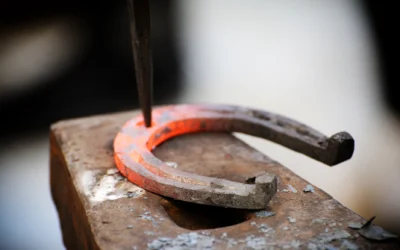 Il Ferro di Cavallo a Cosa Serve e Quando è Necessario