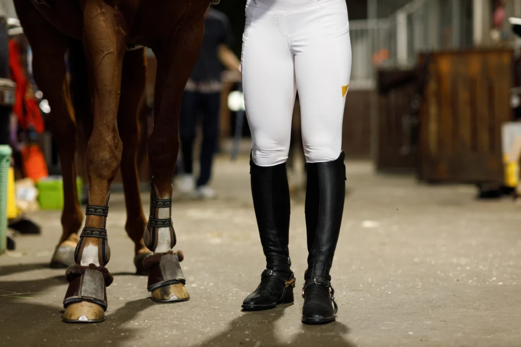 Cavallo in scuderia con ferratura appena fatta