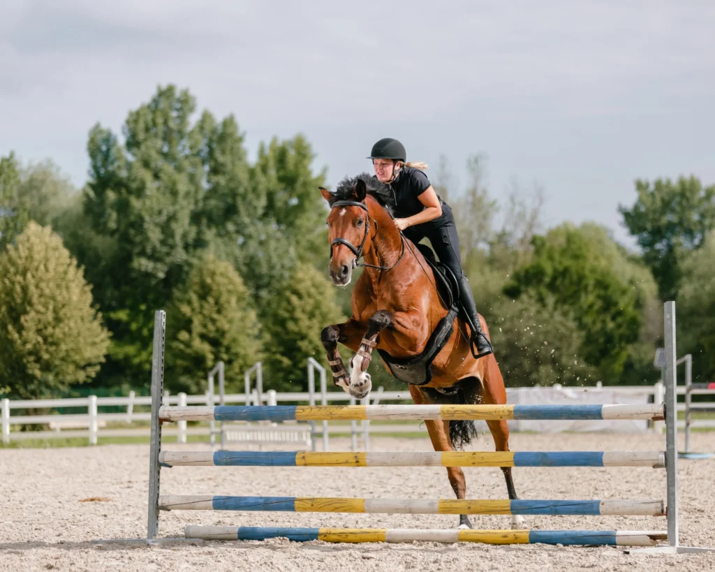 Lezione DI Equitazione DI Gruppo per il conseguimento del brevetto fise